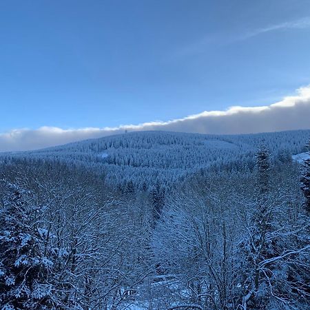 אוברוויזנטל Erzgebirge Suite Gipfelgruen מראה חיצוני תמונה